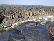conservation image