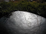 conservation image