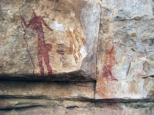 conservation image