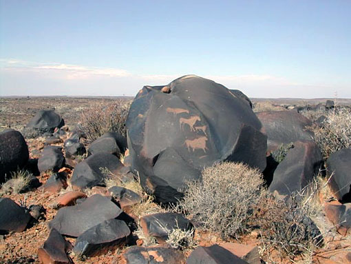 conservation image