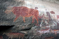 conservation image