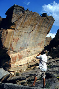 conservation image
