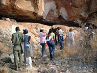 conservation image