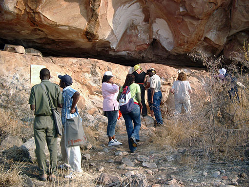 conservation image