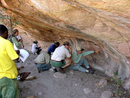 conservation image
