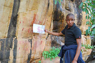 conservation image