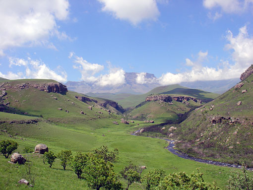 conservation image