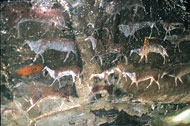 conservation image