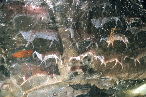 conservation image