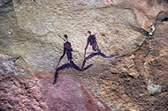 conservation image