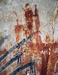 conservation image