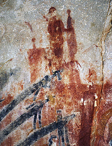 conservation image
