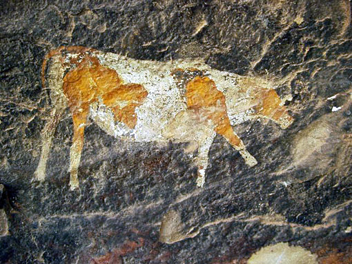conservation image