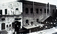 Conservation image