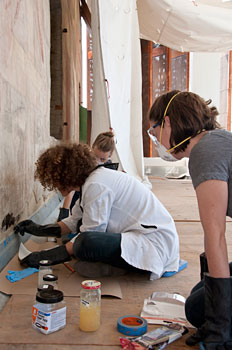 conservation image