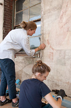 conservation image