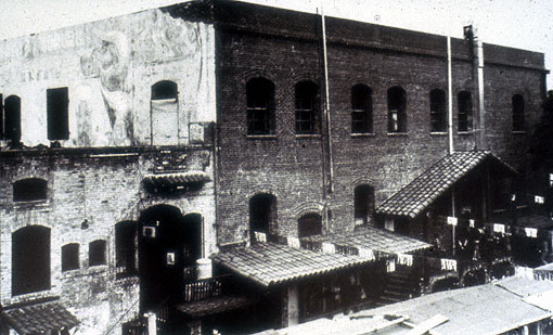 Conservation image