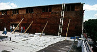 Conservation image