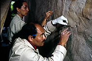 Conservation image