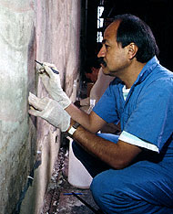 Conservation image