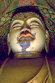 Conservation Image