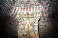Conservation Image