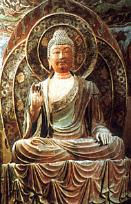 Conservation Image