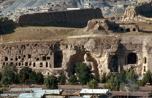 Conservation Image