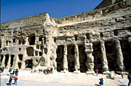 Conservation Image
