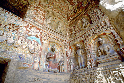 Conservation Image