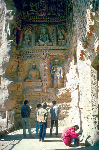 Conservation Image