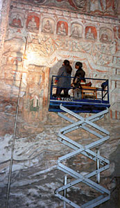 Conservation Image
