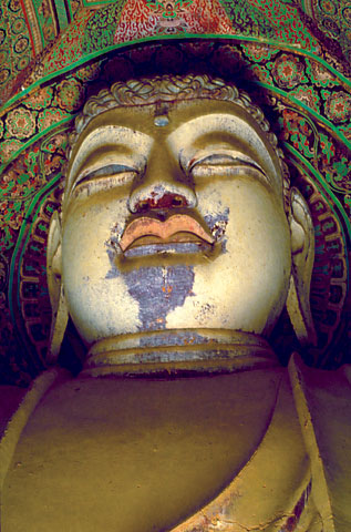 Conservation Image