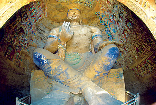 Conservation Image