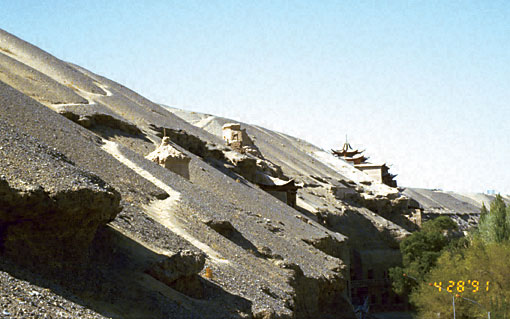 Conservation Image