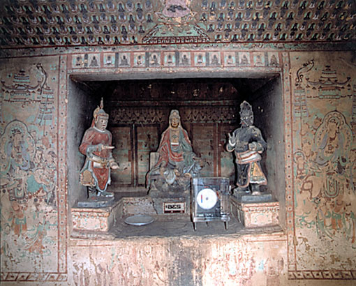 Conservation Image