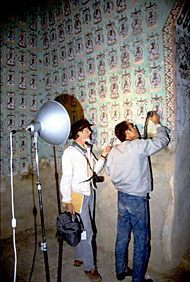 Conservation Image