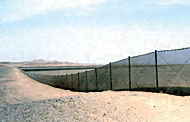 Conservation Image