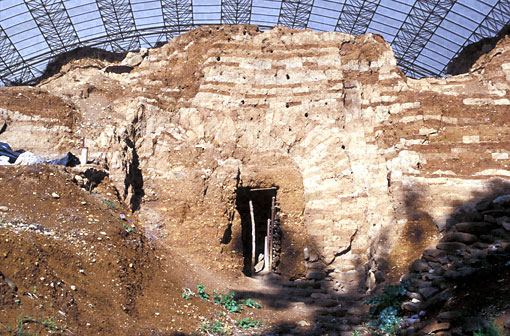 Conservation image