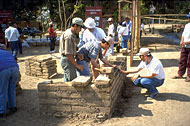 Conservation image