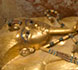 gilded-wood coffin