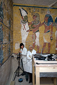 conservation image