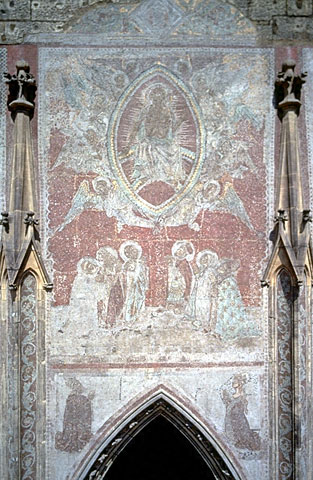 Conservation image