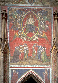 Conservation image