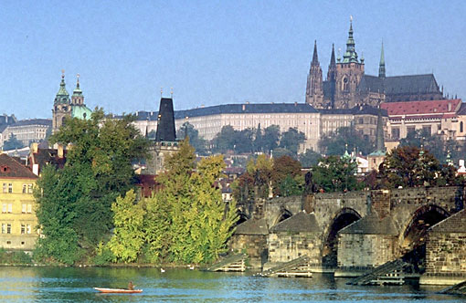 Conservation image