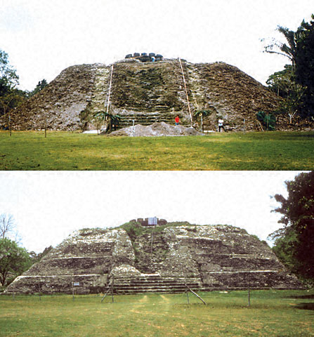 Conservation Image