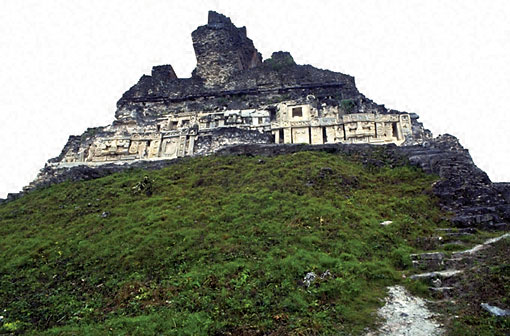 Conservation Image