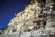 Conservation Image