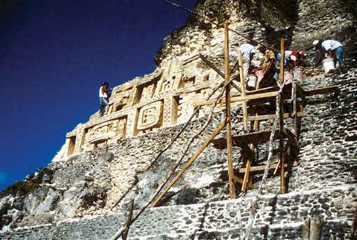 Conservation Image