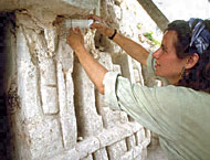 Conservation Image